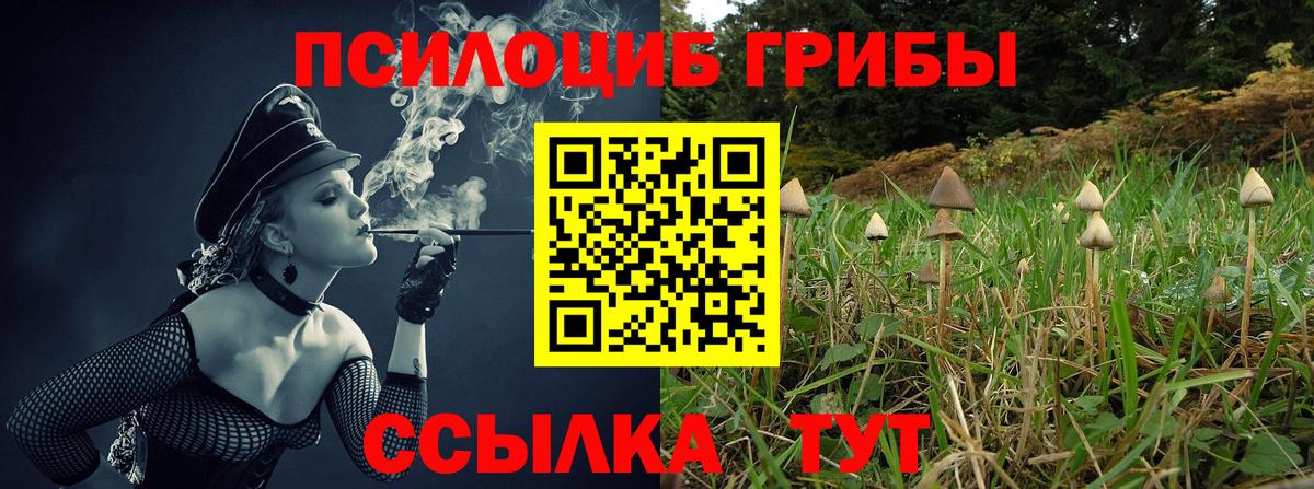 Нововоронеж  Галлюциногенные грибы Psilocybe  Вход с VPN  Псилоцибиновые грибы Magic Shrooms 